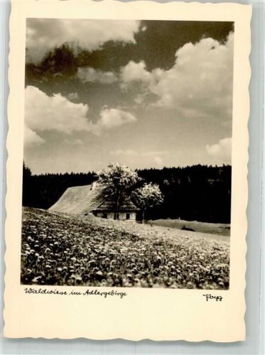 Adlergebirge Foto Popp