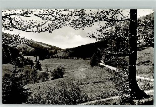 Willingen Blick ins Hoppecketal