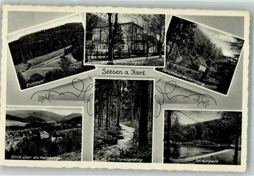 Seesen Eickmuhl Harzberge Forellenstieg Erholungsheim Grüner Jäger Kurpark Forsthaus Neckelnberg Verlag Thoericht Nr. 16928