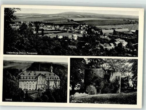 Liebenburg Schloss Denkmal Alter Turm