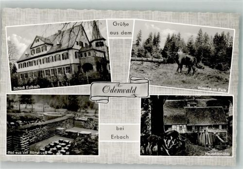 Erbach Schloss Eulbach Heinster- Mühle Bad aus der Römerzeit