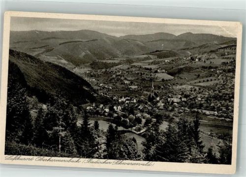 Oberharmersbach Panorama des Ortes mit St. Gallus Kirche Fotograf Grüninger