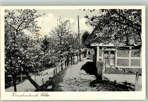 Lühe 1954