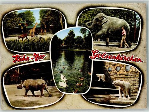 Gelsenkirchen Ruhr-Zoo Giraffe Elefant Nashorn Eisbär