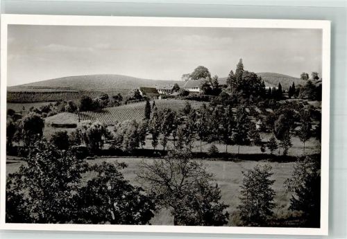 Sasbachwalden Klostergut Schelzberg Obst- und Weingut