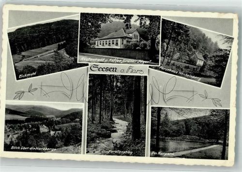 Seesen 1939 Gasthaus Cafe Grüner Jäger Kurpark Forsthaus Necjelnberg