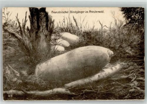 Französischer Blindgänger im Priesterwald Landsturm Fußartl. Ersatz Batterie XI.A.K.Nr. 2.