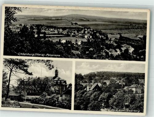 Liebenburg Schloss Blick zum Lewerberg