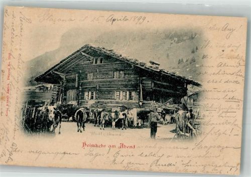 1899 Heimkehr am Abend Küke Gebr. Künzli No. 2203