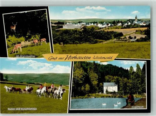 Horhausen Panorama des Ortes Wildgehege im Grenzbachtal Angelteich Pferde Kutsche