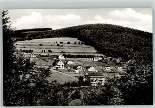 Willingen