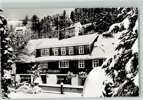 Willingen Winter Gasthaus Cafe Pension Sauerländer Hof