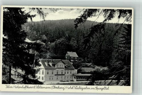 Wildemann Hotel Waldgarten im Spiegeltal