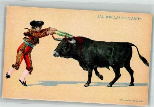 Torero platziert seine Banderillas im Stiernacken
