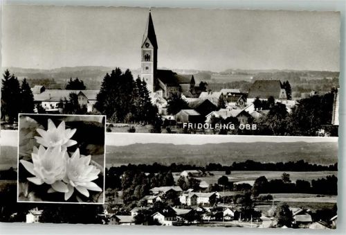 Fridolfing Kirche Seerose