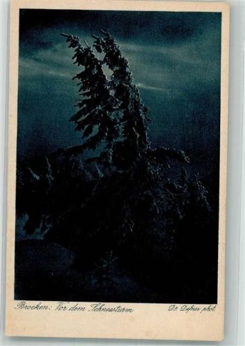 Brocken Vor dem Schneesturm Fotograf Dr. Defner