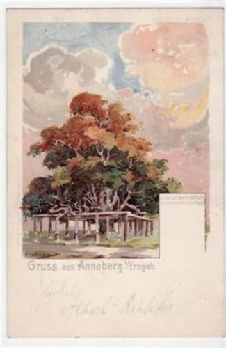 Annaberg, Lithographie mit Linde auf dem Friedhof gelaufen von 1900. Gute Erhaltung.