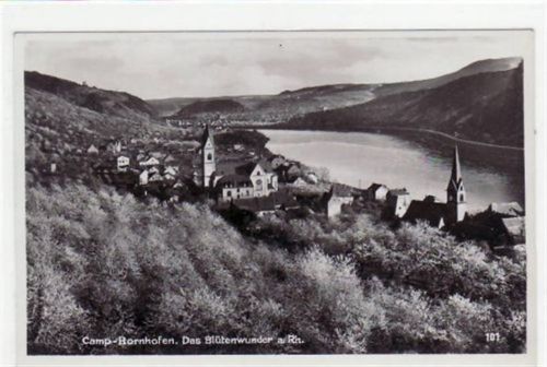 Camp - Bornhofen Blütenwunder am Rhein mit Totale. Karte beschrieben Leichter Bug unten rechts, sonst gut erhalten