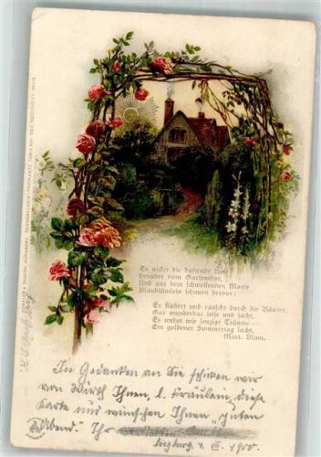 1900 Sonnenschein Postkarte Serie XVI Nr. 99115