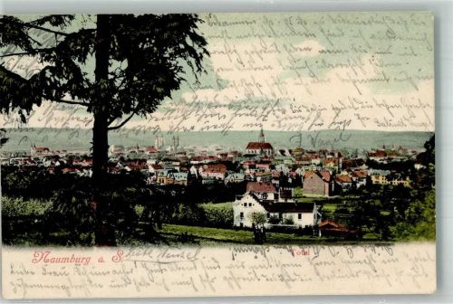 Naumburg 1905