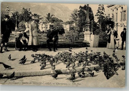 Monte Carlo Park Tauben