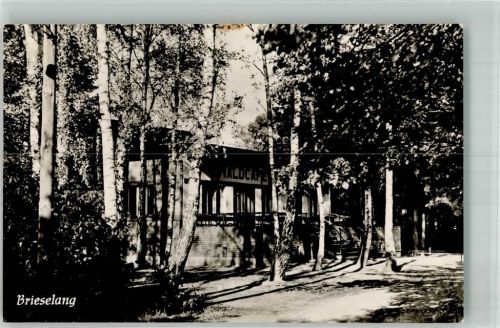 Brieselang Waldcafé