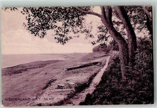 Westerland 1924 Am Kliff