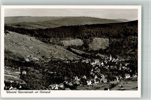 Korb Fliegeraufnahme des Ortsteiles Steinreinach mit Kirche St. Wolfgang