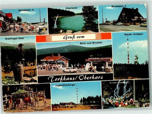 Torfhaus Jugendherberge Rotwild Greifvogel-Park Sendemasten Kinder-Eisenbahn