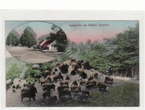 Holzmühle am Kaiserl. Saupark gelaufen, 1911. Ecken mit Albumabdrücken, leicht fleckig, sonst gut erhalten