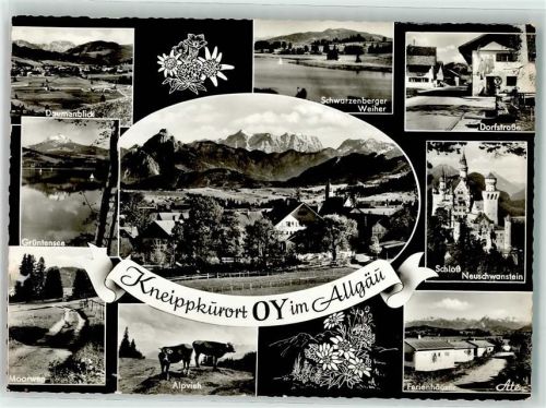87466 W8967 Oy - Edelweiß Enzian Schloß Neuschwanstein Grüntensee Rinder Schwarzenberg Weiher