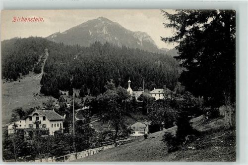 Birkenstein