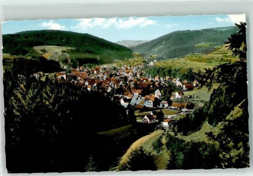 96349 W8645 Steinwiesen