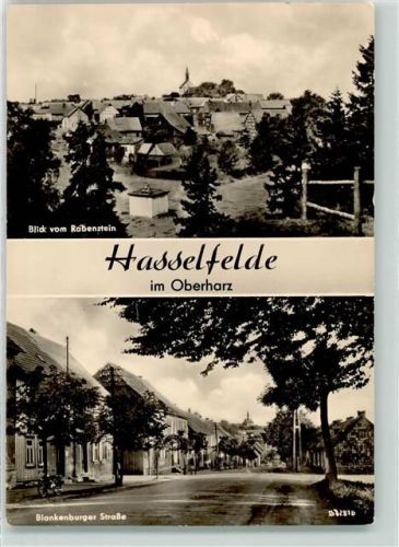 Hasselfelde Blick vom Rabenstein Blankenburger Straße