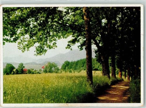 Murnau Murnauer Moos Waldweg