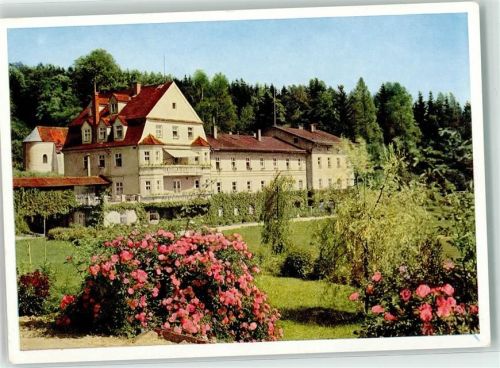 Wartenberg Sanatorium Wartenberg Garten Rosensträucher
