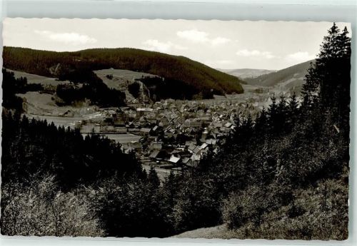 Steinwiesen