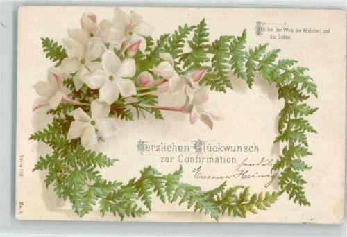 1904 Spruch Blumen Farn AK