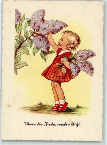 1951 Mädchen pflückt Flieder AK
