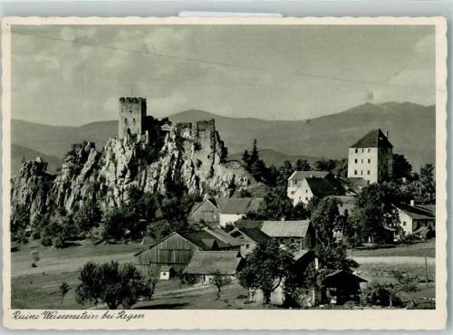 Regen Ruine Weissenstein