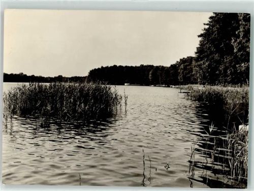 Pieskow Scharmützelsee Seeufer