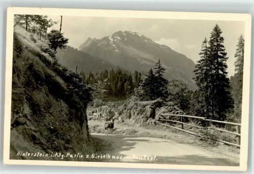 87541 W8973 Hinterstein Foto AK