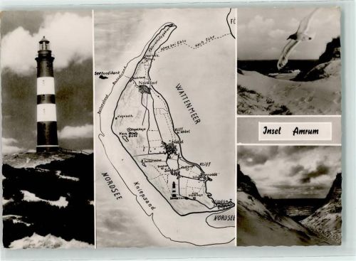 Amrum Leuchtturm Möwe Dünen