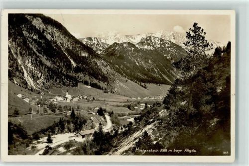 87541 W8973 Hinterstein