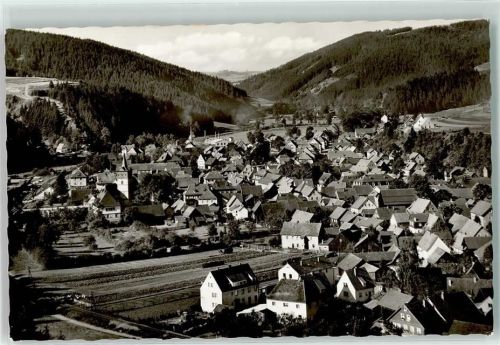 96349 W8645 Steinwiesen