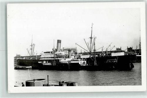 Hannover Taube Hafen