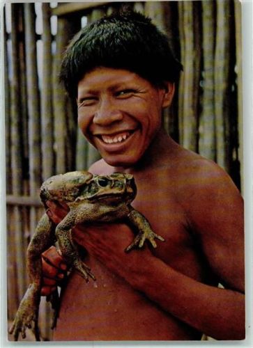 Amazonas Frosch Brasilianer