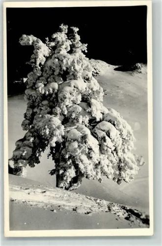 Kitzbühel Winter Ort handschriftlich