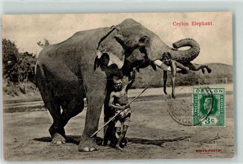 Elefant Motiv Sri Lanka / Ceylon