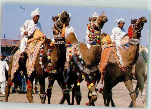 Lahore Camel Dance Tracht Kamel